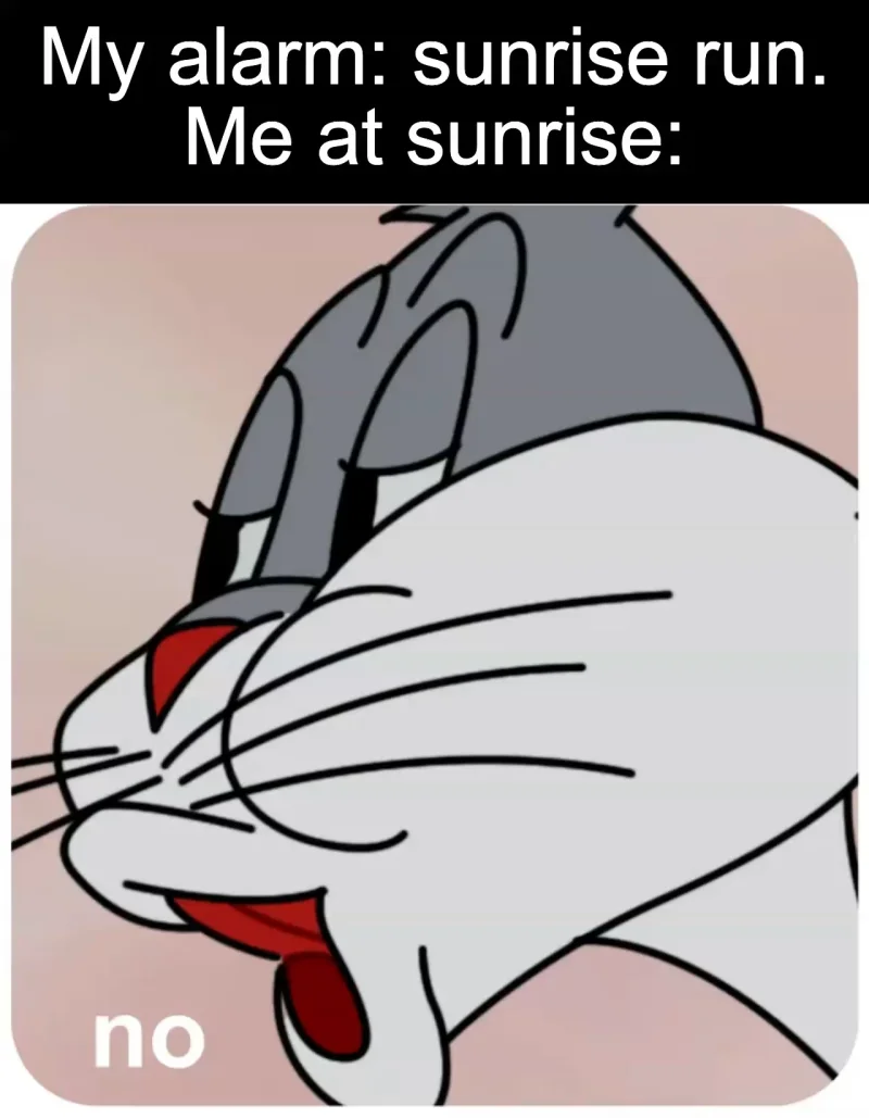 The optimistic alarm: My alarm: sunrise run. Me at sunrise: