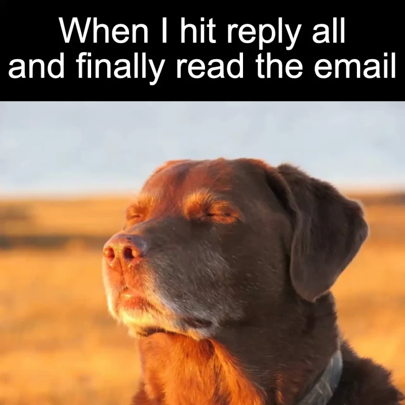 The reply-all realization: When I hit reply all and finally read the email