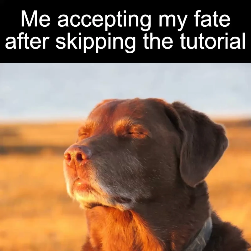 The skipped tutorial: Me accepting my fate after skipping the tutorial