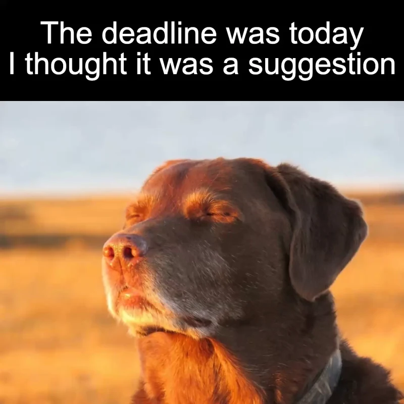 The deadline interpretation: The deadline was today I thought it was a suggestion