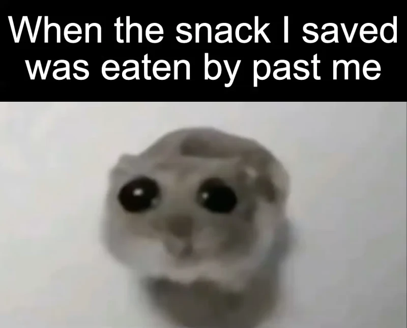 The vanished snack: When the snack I saved was eaten by past me
