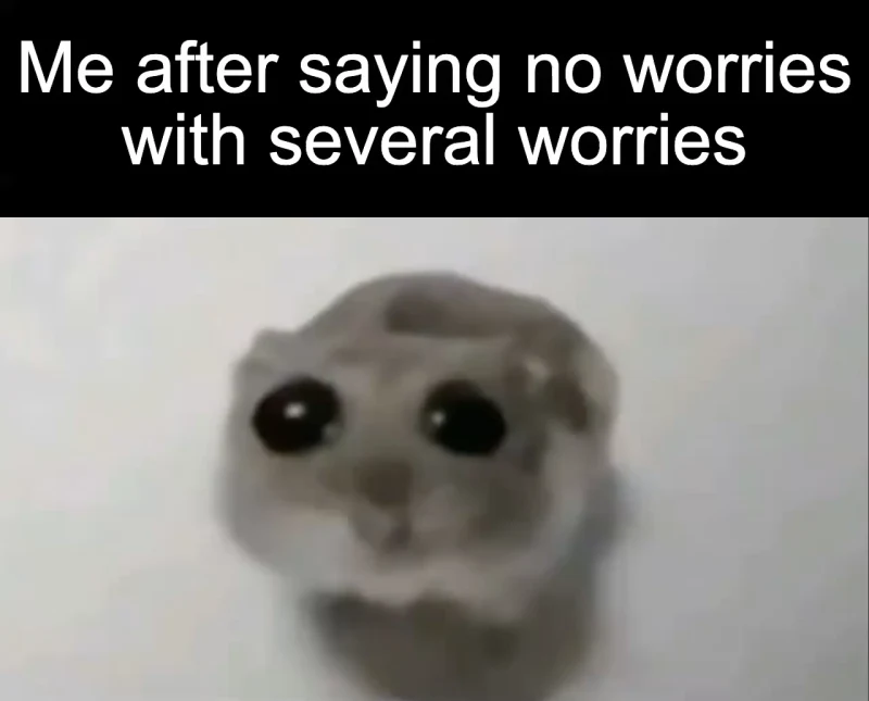 Several worries: Me after saying no worries with several worries