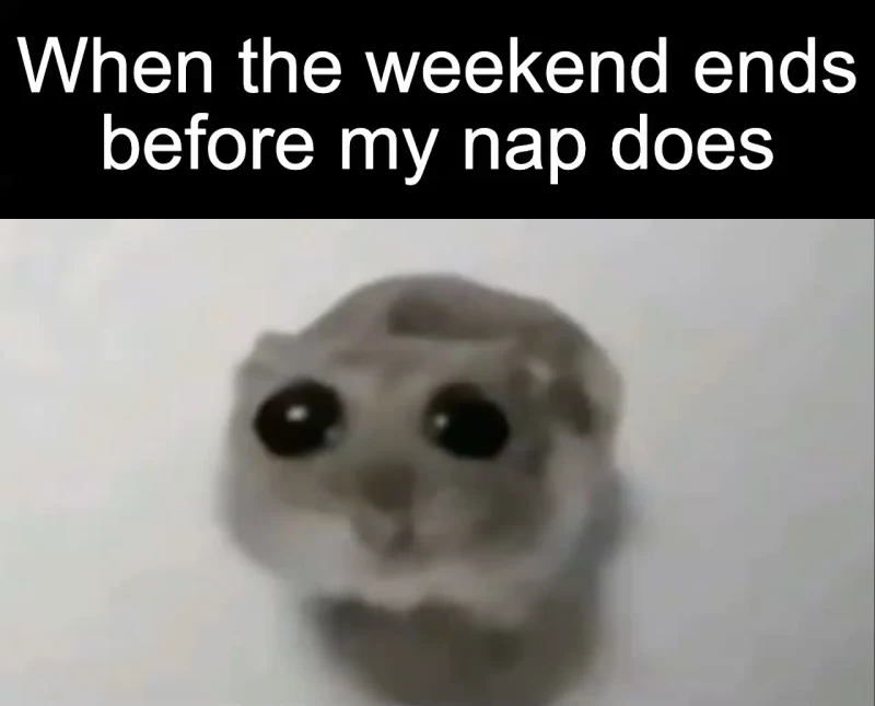 The unfinished nap: When the weekend ends before my nap does