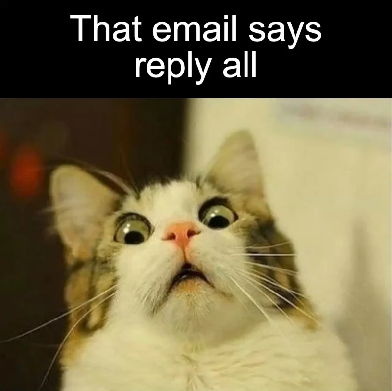 The reply-all surprise: That email says reply all