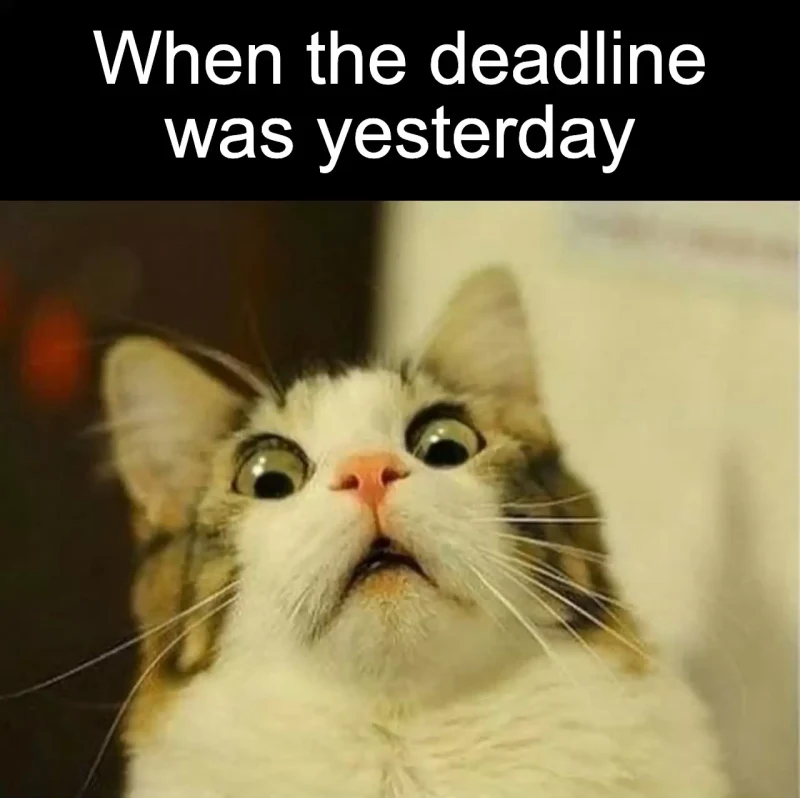 The missed deadline: When the deadline was yesterday