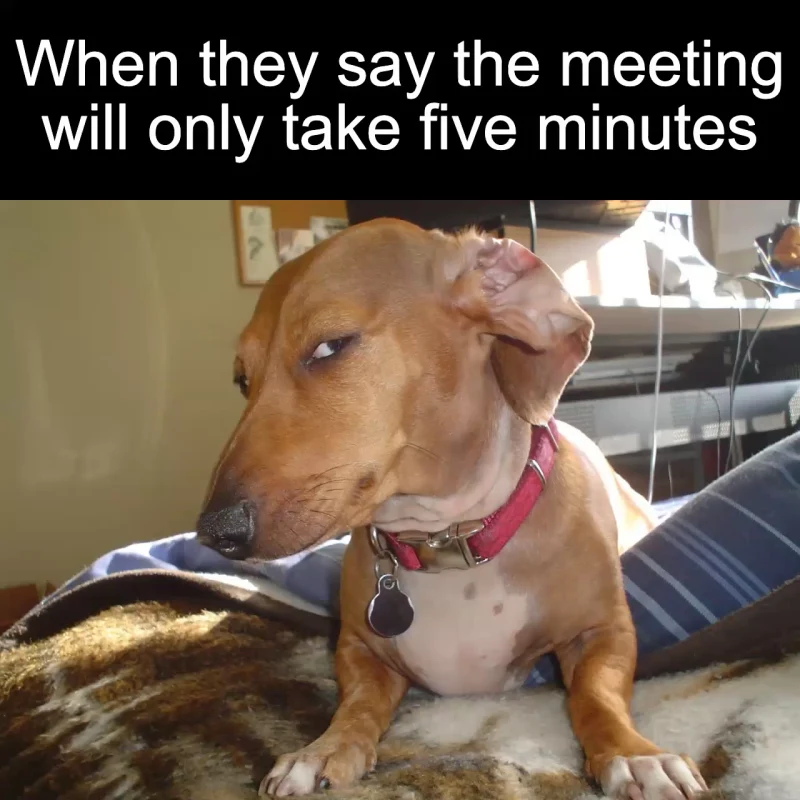 The short-meeting promise: When they say the meeting will only take five minutes