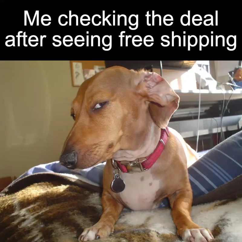 The shipping catch: Me checking the deal after seeing free shipping